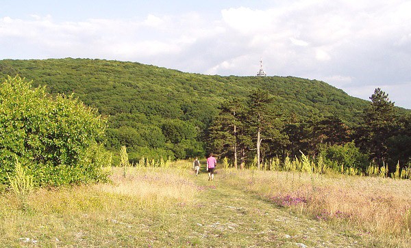 zoborske_vrchy_a_zoborska_lesostep.jpg