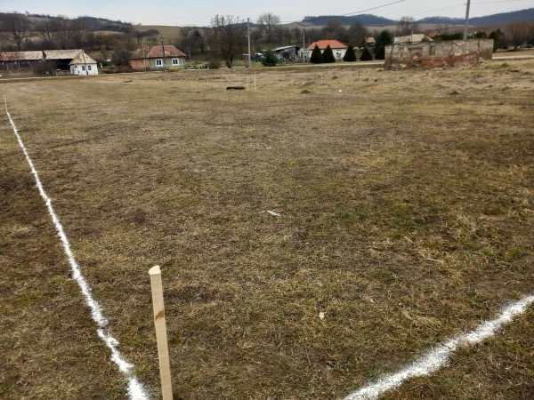 20250311_094645.jpg