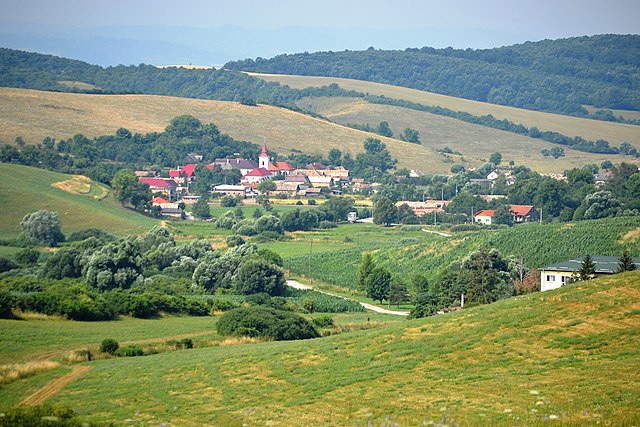 Neporadza__3.jpg