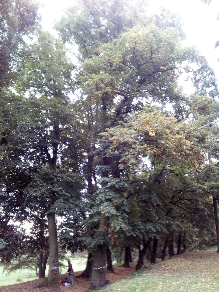 95.jpg