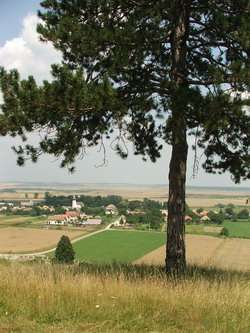 dscf2315.jpg