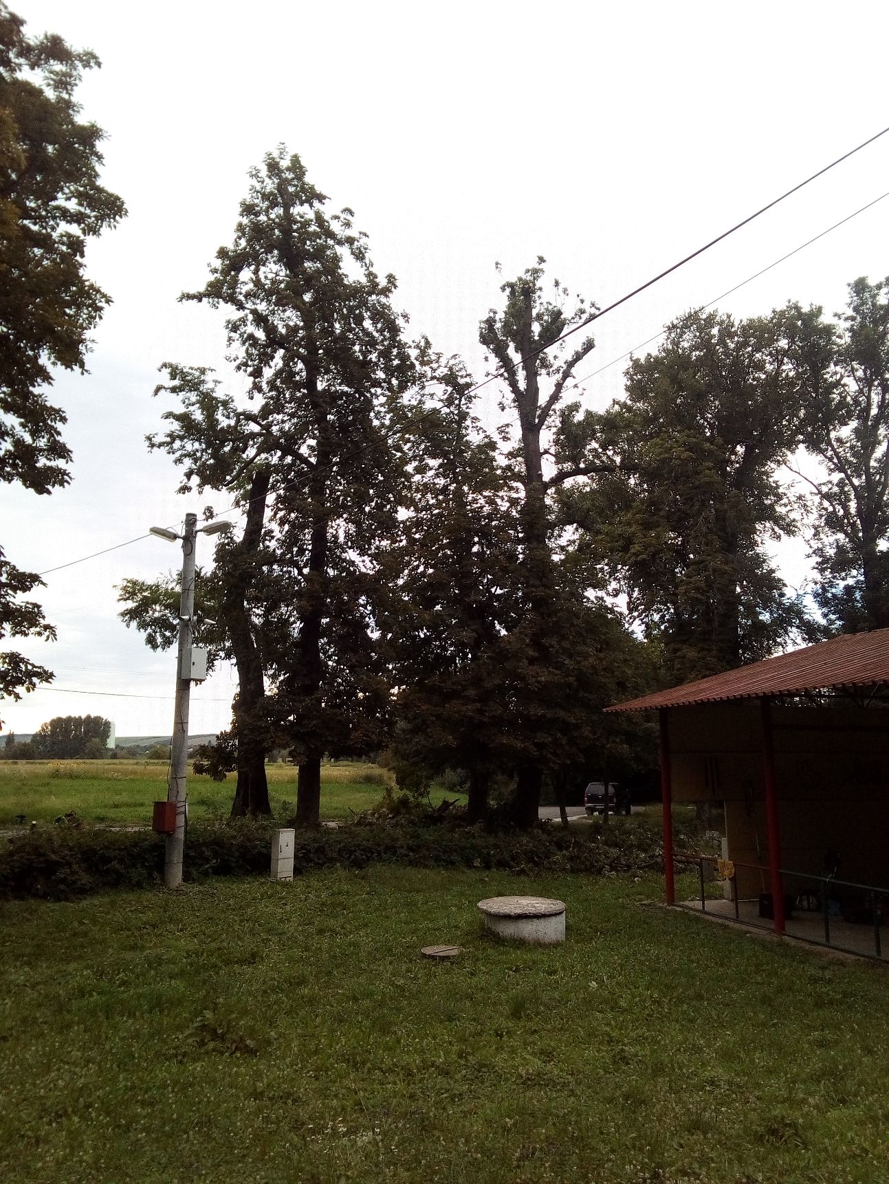 IMG_20200811_172449.jpg